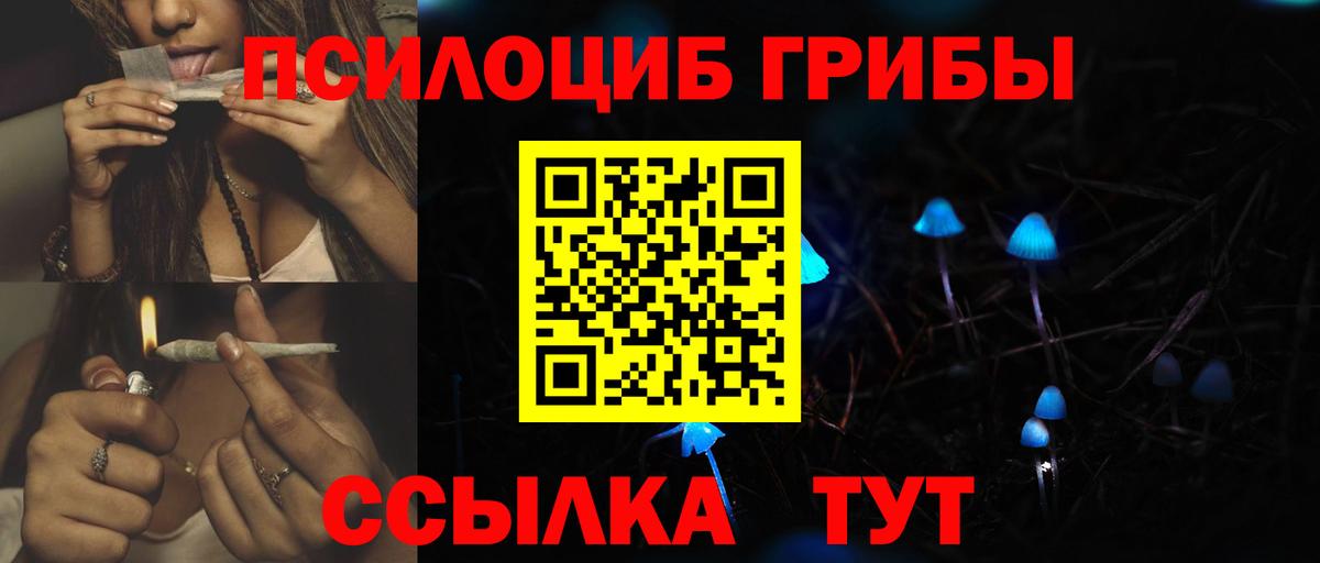 Псилоцибиновые грибы Cubensis  Вход с VPN  Барнаул  Псилоцибиновые грибы ЛСД 